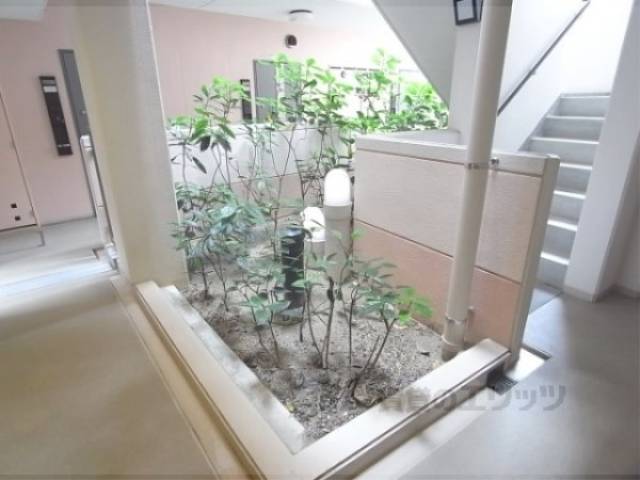 植栽
