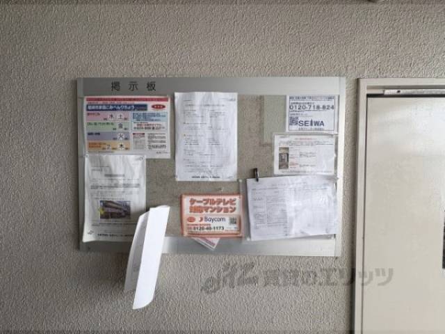 掲示板