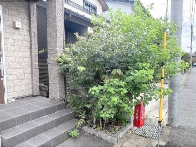 植栽