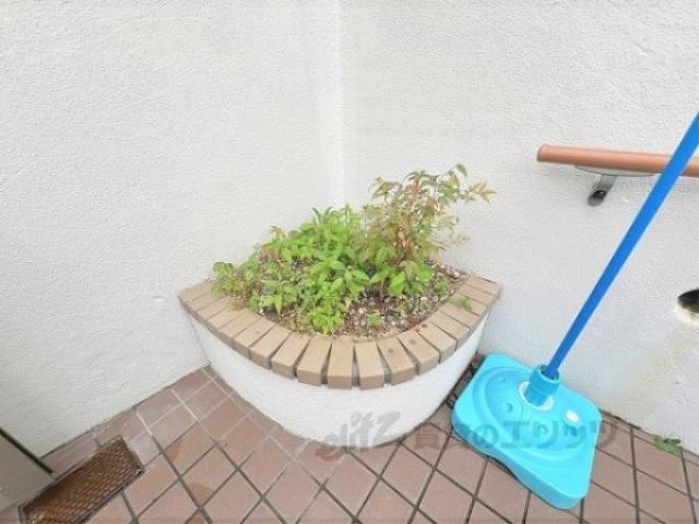 植栽
