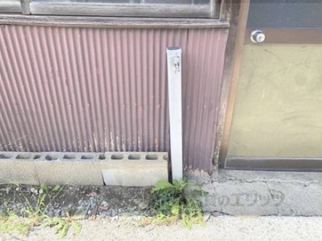 蛇口