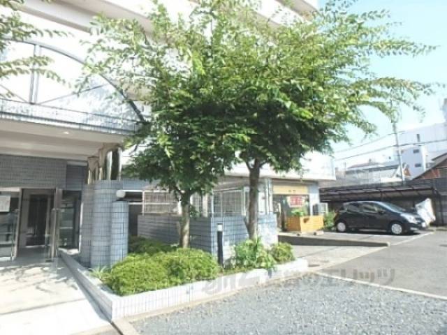 植栽