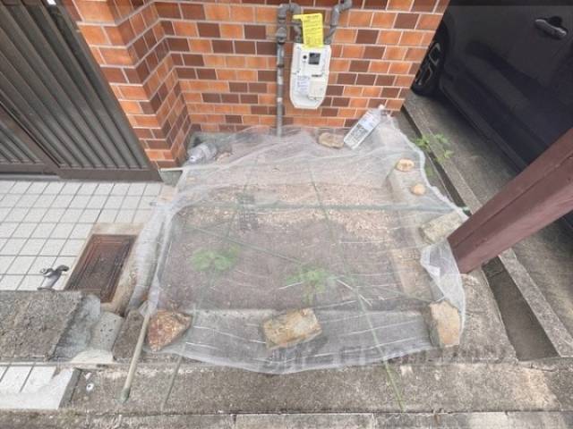 植栽