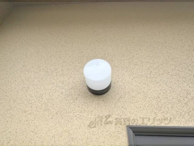 照明
