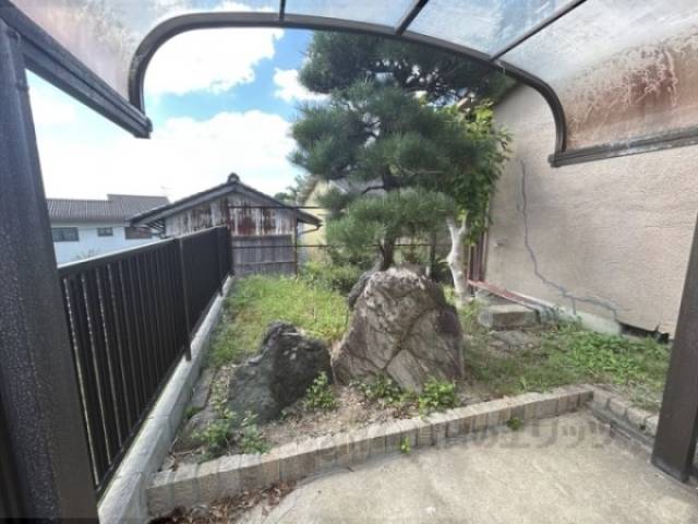 植栽