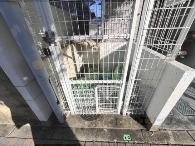 ゴミ置き場