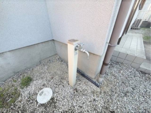 蛇口