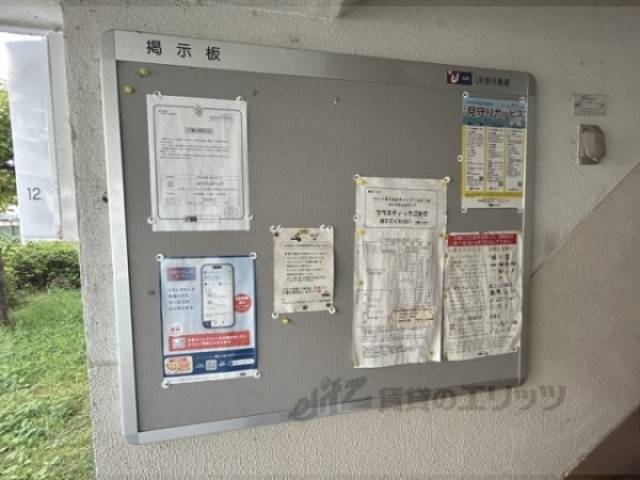 掲示板