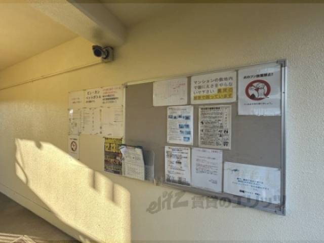 掲示板