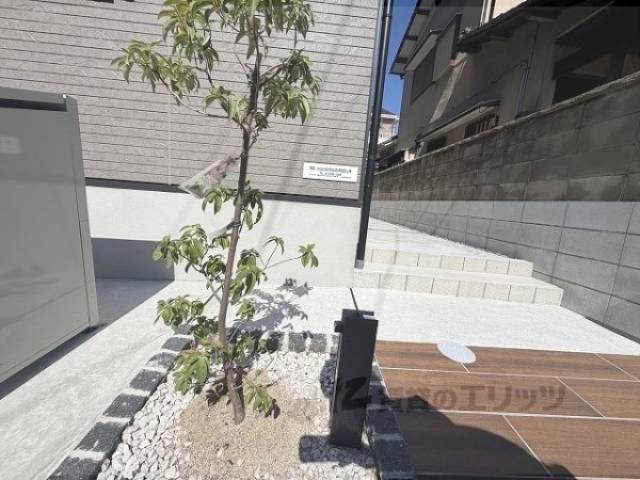 植栽