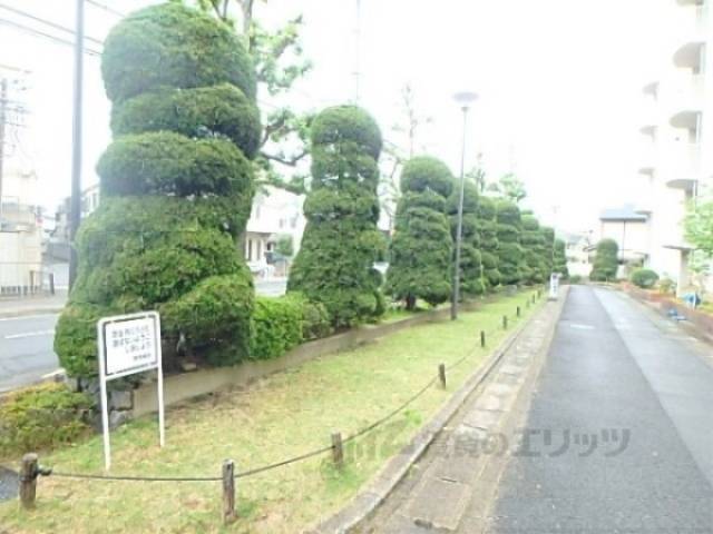 植栽