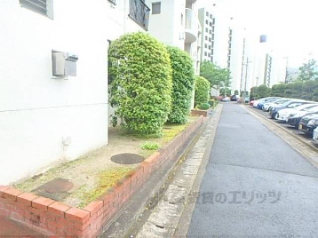植栽