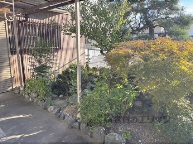 植栽