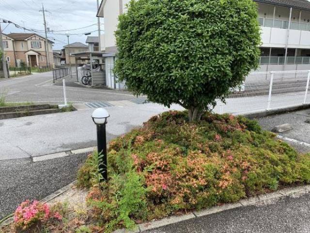 植栽