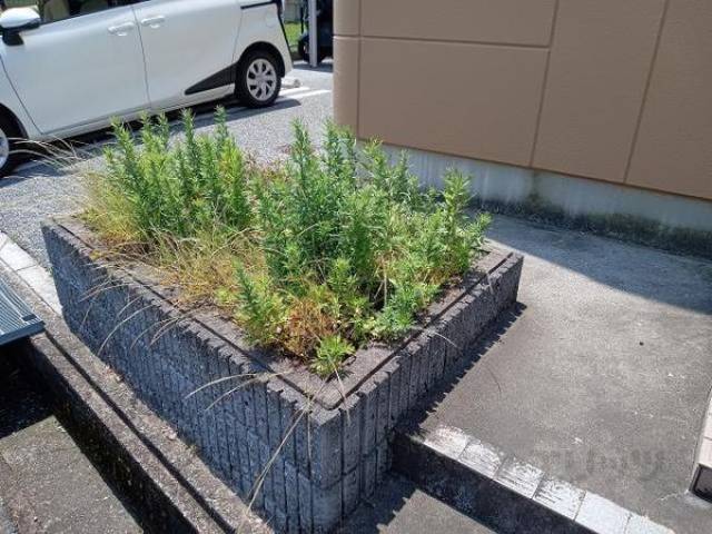 植栽