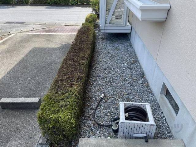 植栽