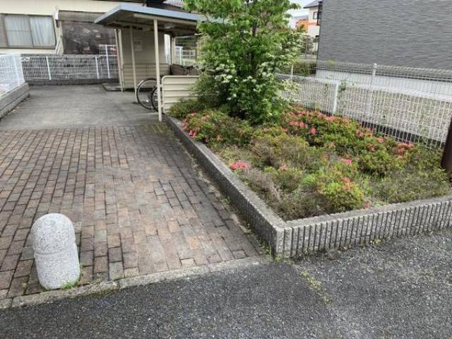 植栽