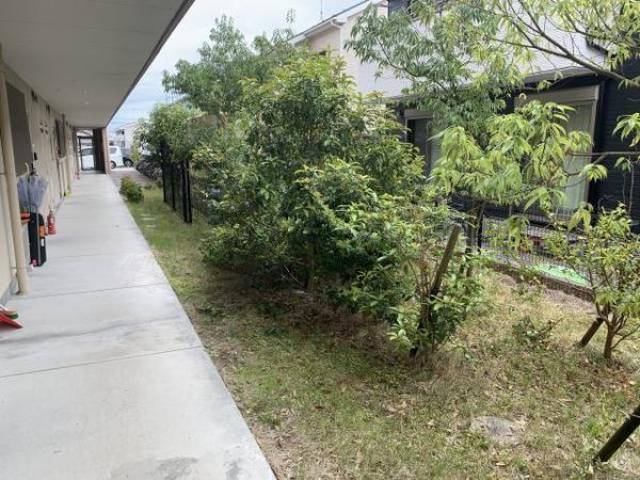 植栽
