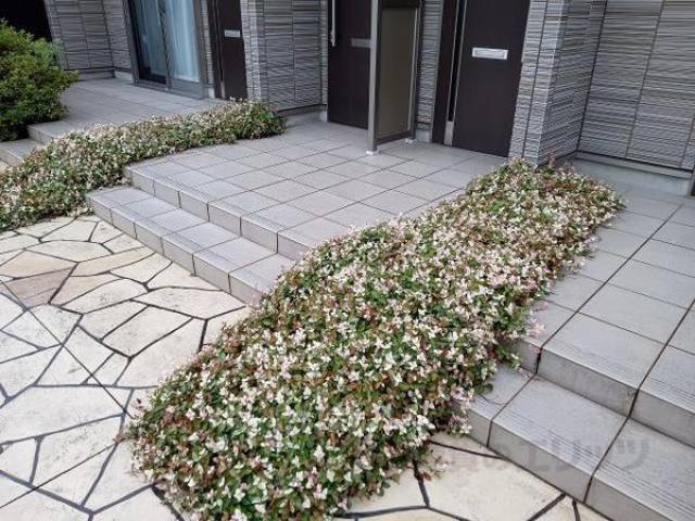 植栽