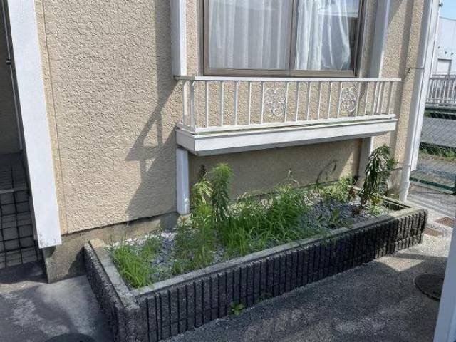 植栽