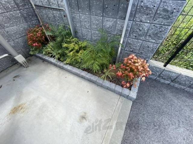 植栽