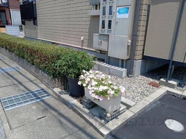 植栽