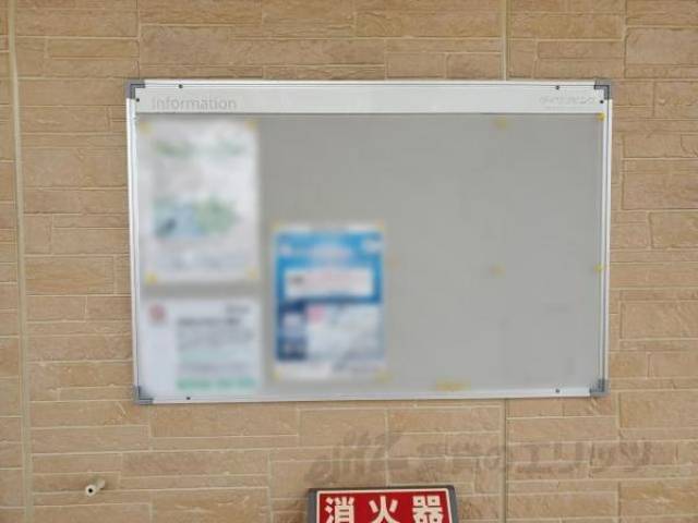 掲示板