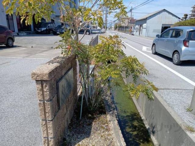植栽