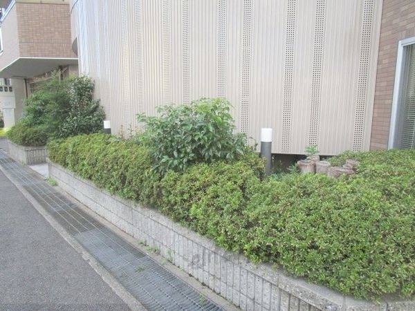 庭