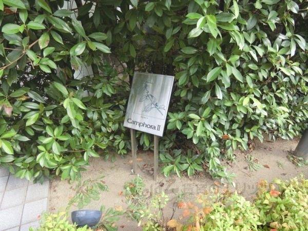 共有部分