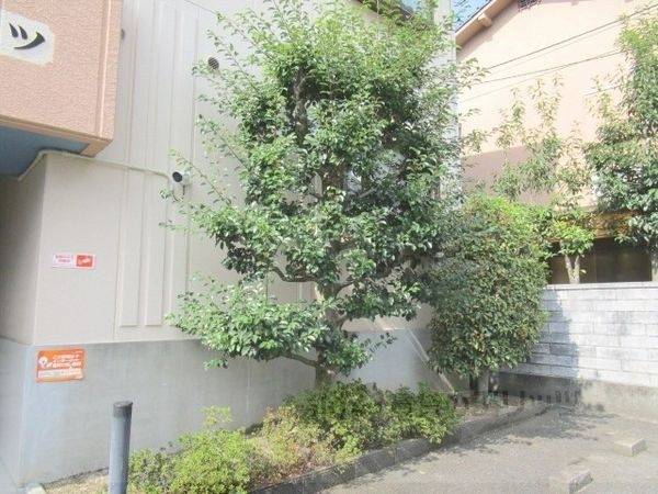 庭