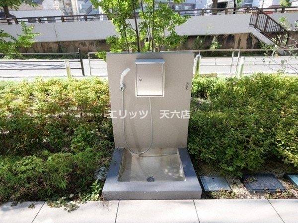 庭