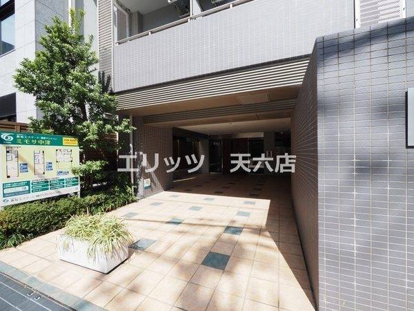 庭