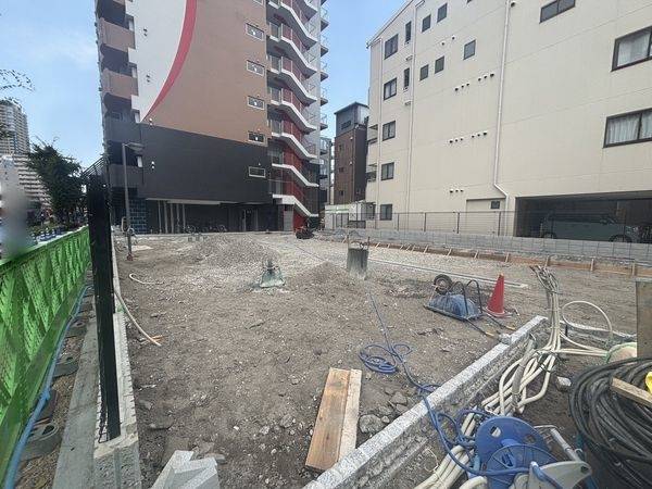 庭