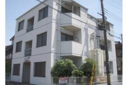 シティハイツ音羽外観写真