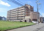 グレース・ナカミヤ