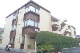 キャッスルササイ外観写真