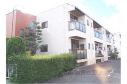 東野辺ハイツ外観写真