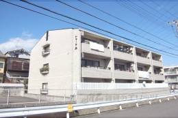 トマーテ桂外観写真