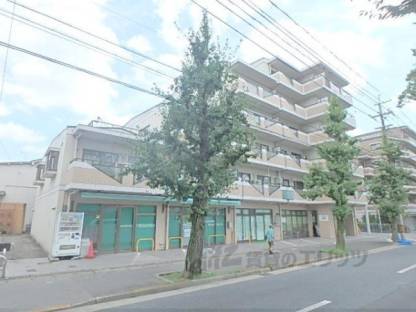 オークサンズ白川外観写真2