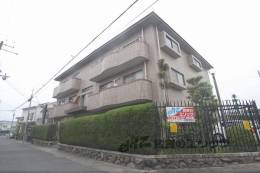 シャンポール圭山外観写真