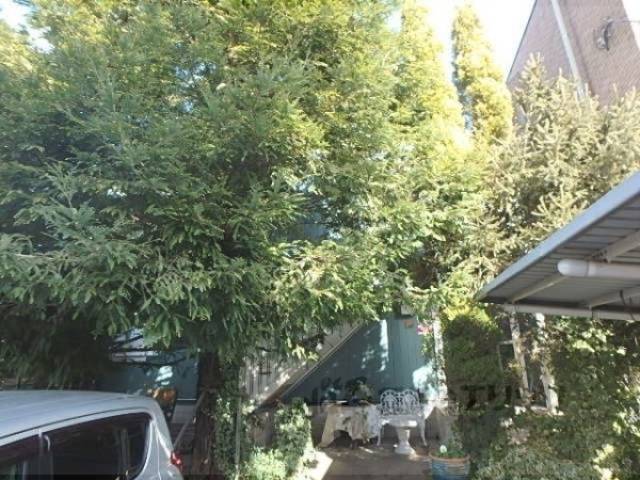 フォレストグリーン外観写真3