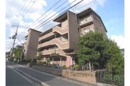 ゴールデンガーデン岩倉外観写真