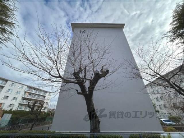 長岡天神ハイツ14棟外観写真3