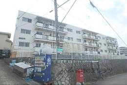 ﾚｯｸｽTUBAKI第3ﾋﾞﾙ外観写真