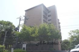 洛西新林団地２７号棟外観写真