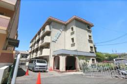 ヤングハイツ外観写真