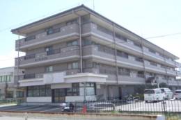 マーシハイツ外観写真