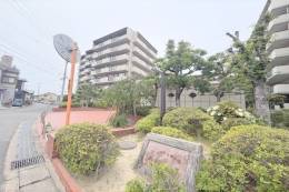 サンロイヤル新田辺アカデミア１号館外観写真