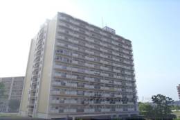 向島団地６街区－２棟外観写真